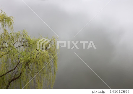 Reflection of the cloudy sky in the lake. Reflection of the cloudy sky in the lake. 141612695