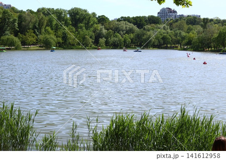 Recreation of citizens on the lake shore in the park. Recreation of citizens on the lake shore in the park. 141612958