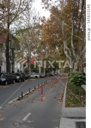A bike path on an autumn city street. 141613148