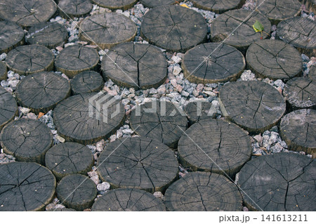 Top view of round wooden cross sections pavement pathway texture. Top view of round wooden cross sections pavement pathway texture. 141613211