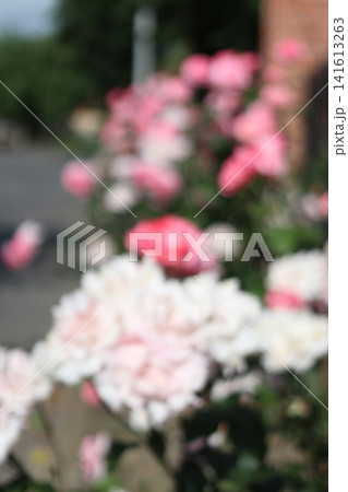 Abstract background with a flower. Abstract background with a flower. 141613263