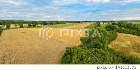 Panoramic view of patchwork farmland with golden wheat and green crop fields. Concept of agriculture, harvest and rural countryside life Panoramic view of patchwork farmland with golden wheat and green crop fields. Concept of agriculture, harvest and rural countryside life 141613373