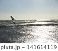 夕方の海でウィンドサーフィンをするシルエットと波の風景 141614119
