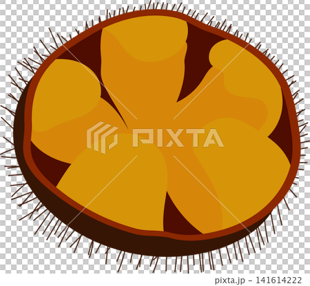 orange sea urchin roe orange sea urchin roe 141614222