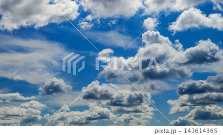 many dark and light cumulus clouds evenly cover the bright blue sky on a sunny day many dark and light cumulus clouds evenly cover the bright blue sky on a sunny day 141614365