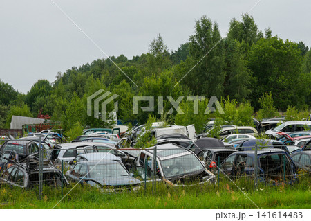 Abandoned Car Junkyard on Green Nature Landscape with Scrap Vehicles Awaiting Recycling and Reuse Abandoned Car Junkyard on Green Nature Landscape with Scrap Vehicles Awaiting Recycling and Reuse 141614483