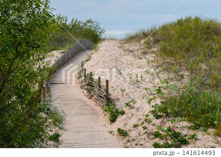Wooden Boardwalk Through Baltic Sea Sand Dunes in Latvia Leading to Beach Across Coastal Nature Reserve Wooden Boardwalk Through Baltic Sea Sand Dunes in Latvia Leading to Beach Across Coastal Nature Reserve 141614493