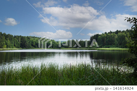 A calm lake surrounded by a green forest. A calm lake surrounded by a green forest. 141614924