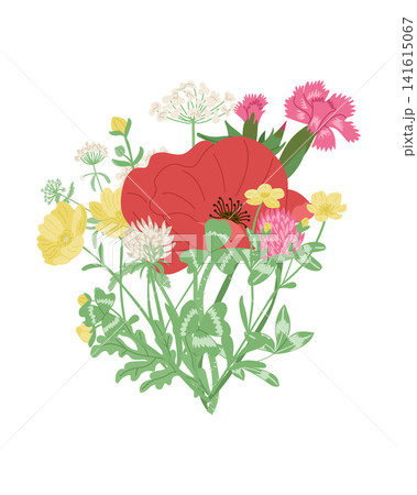 Colorful floral illustration featuring red poppy, pink carnation, and yellow buttercup flowers with green foliage arranged in a vibrant bouquet design Colorful floral illustration featuring red poppy, pink carnation, and yellow buttercup flowers with green foliage arranged in a vibrant bouquet design 141615067