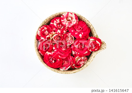 Variegated red white roses filling ceramic bowl on white Variegated red white roses filling ceramic bowl on white 141615647