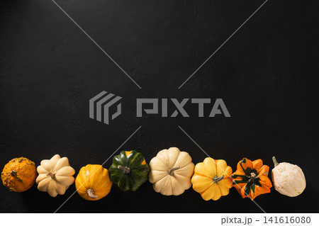 Colorful ornamental pumpkins border on black background with copy space Colorful ornamental pumpkins border on black background with copy space 141616080