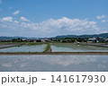 岡山県総社市水田空と雲のゆらぎ 141617930