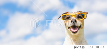Happy Dog Wearing Sunglasses Against Sky for Summer Vacation Travel Banner with Copy Space Happy Dog Wearing Sunglasses Against Sky for Summer Vacation Travel Banner with Copy Space 141618134