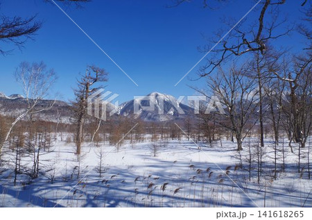 冬空に映える太郎山 冬空に映える太郎山 141618265