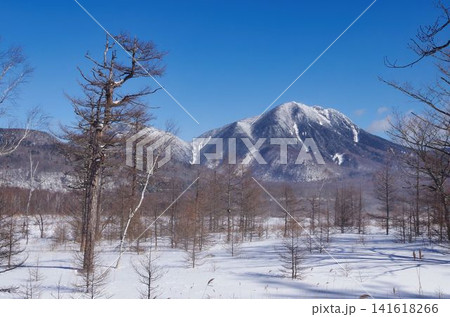 太郎山の冬の山肌 太郎山の冬の山肌 141618266