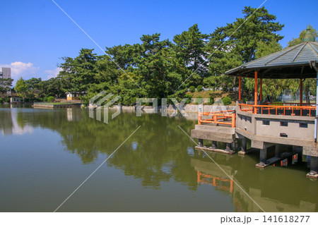 九華公園 九華公園 141618277