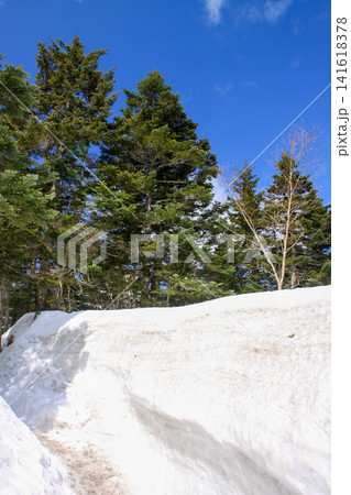 新穂高 新穂高 141618378