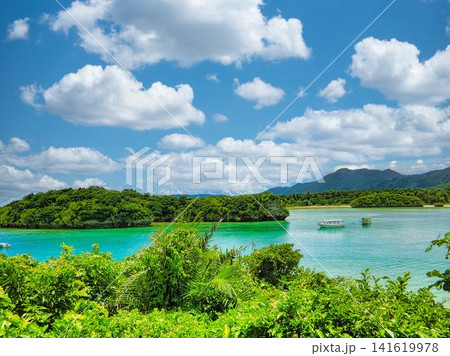 石垣島の風景 石垣島の風景 141619978