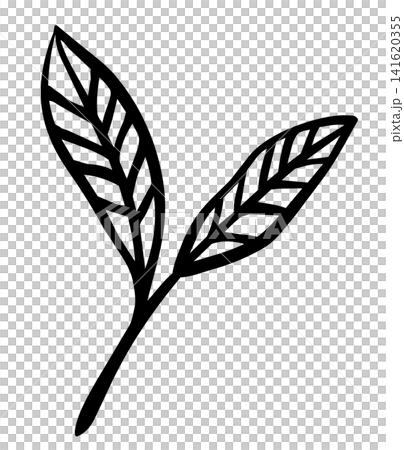 Hand-drawn style line art illustration of tea leaves and buds 141620355