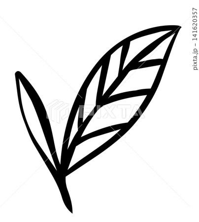 手描き風の茶葉と芽の線画イラスト 141620357