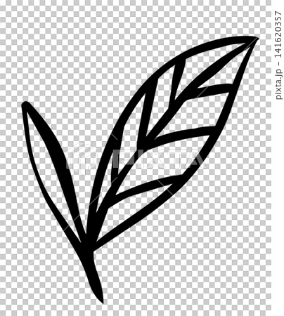 手描き風の茶葉と芽の線画イラスト 141620357