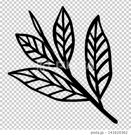 手描き風の茶葉と芽の線画イラスト 手描き風の茶葉と芽の線画イラスト 141620362