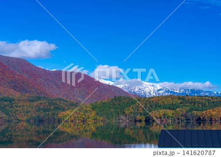 【紅葉素材】秋が深まり紅葉した景色の青木湖【長野県】 【紅葉素材】秋が深まり紅葉した景色の青木湖【長野県】 141620787