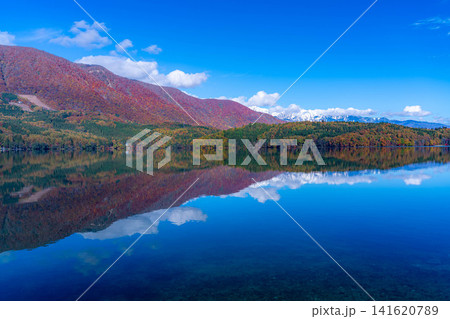 【紅葉素材】秋が深まり紅葉した景色の青木湖【長野県】 【紅葉素材】秋が深まり紅葉した景色の青木湖【長野県】 141620789