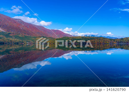 【紅葉素材】秋が深まり紅葉した景色の青木湖【長野県】 【紅葉素材】秋が深まり紅葉した景色の青木湖【長野県】 141620790