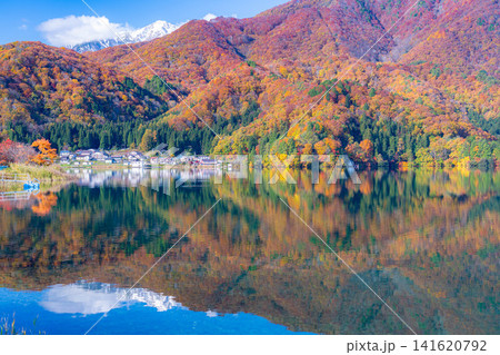 【紅葉素材】秋が深まり紅葉した景色の青木湖【長野県】 【紅葉素材】秋が深まり紅葉した景色の青木湖【長野県】 141620792