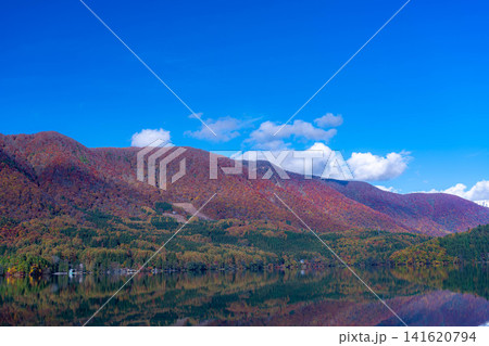 【紅葉素材】秋が深まり紅葉した景色の青木湖【長野県】 【紅葉素材】秋が深まり紅葉した景色の青木湖【長野県】 141620794