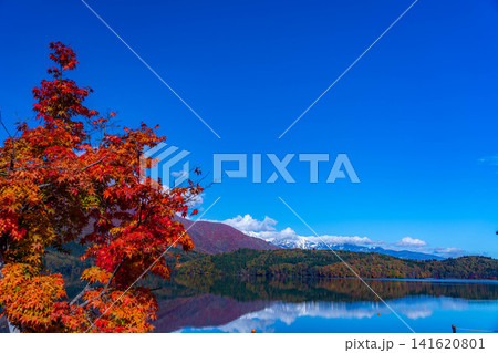 【紅葉素材】秋が深まり紅葉した景色の青木湖【長野県】 【紅葉素材】秋が深まり紅葉した景色の青木湖【長野県】 141620801