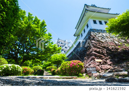 郡上八幡城 郡上八幡城 141621592
