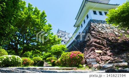 郡上八幡城 郡上八幡城 141621594