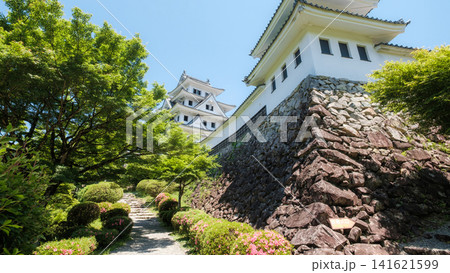 郡上八幡城 郡上八幡城 141621599