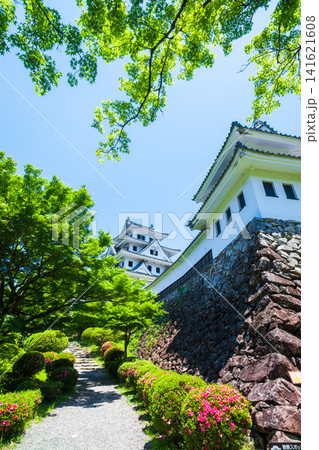 郡上八幡城 郡上八幡城 141621608