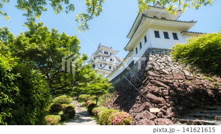 郡上八幡城 郡上八幡城 141621615