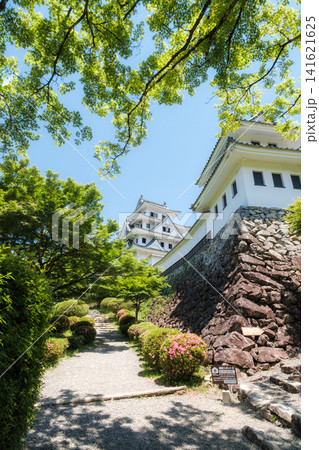 郡上八幡城 郡上八幡城 141621625