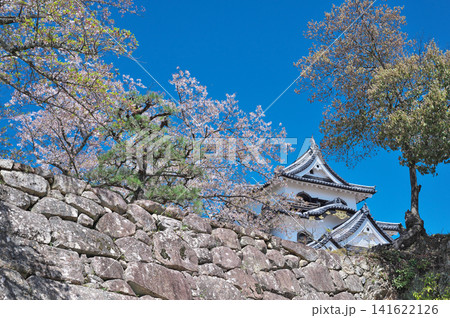 春の彦根城 春の彦根城 141622126