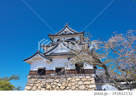 春の彦根城 春の彦根城 141622132