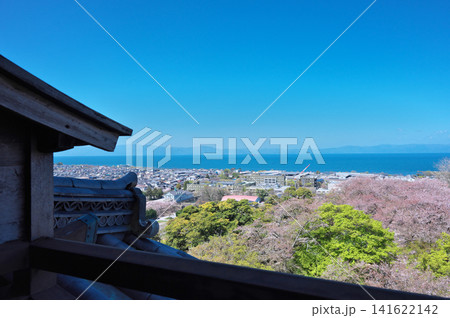 春の彦根城 春の彦根城 141622142