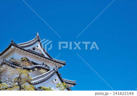 春の彦根城 春の彦根城 141622149