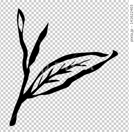 Sketch-style, natural hand-drawn line art of tea leaves Sketch-style, natural hand-drawn line art of tea leaves 141622403