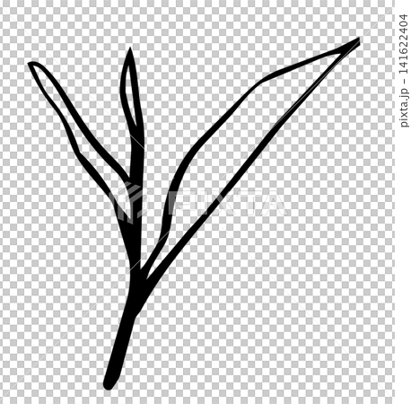 スケッチ風のナチュラルな茶葉の手書き線画パーツ スケッチ風のナチュラルな茶葉の手書き線画パーツ 141622404
