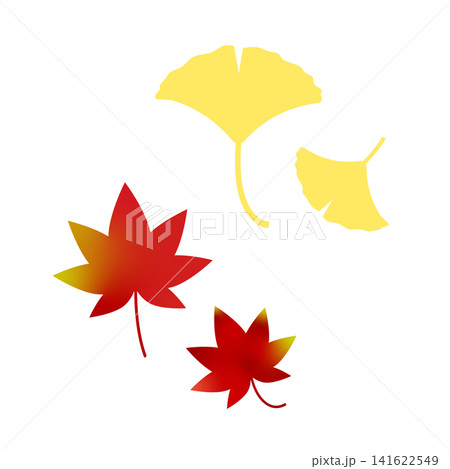 紅葉とイチョウの葉のイラスト 141622549