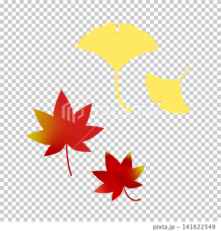 紅葉とイチョウの葉のイラスト 141622549