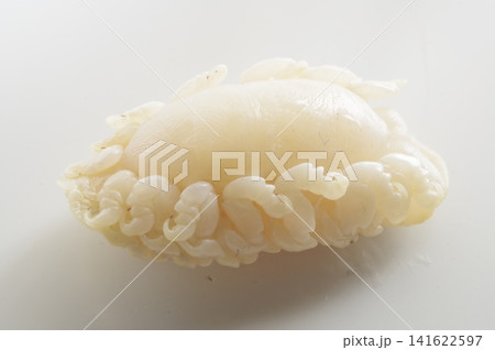 タイノエ 鯛などの魚の口腔内に寄生する甲殻類の寄生虫 タイノエ 鯛などの魚の口腔内に寄生する甲殻類の寄生虫 141622597