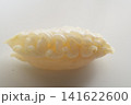 タイノエ　鯛などの魚の口腔内に寄生する甲殻類の寄生虫 141622600