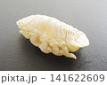 タイノエ　鯛などの魚の口腔内に寄生する甲殻類の寄生虫 141622609