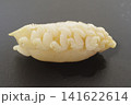 タイノエ　鯛などの魚の口腔内に寄生する甲殻類の寄生虫 141622614